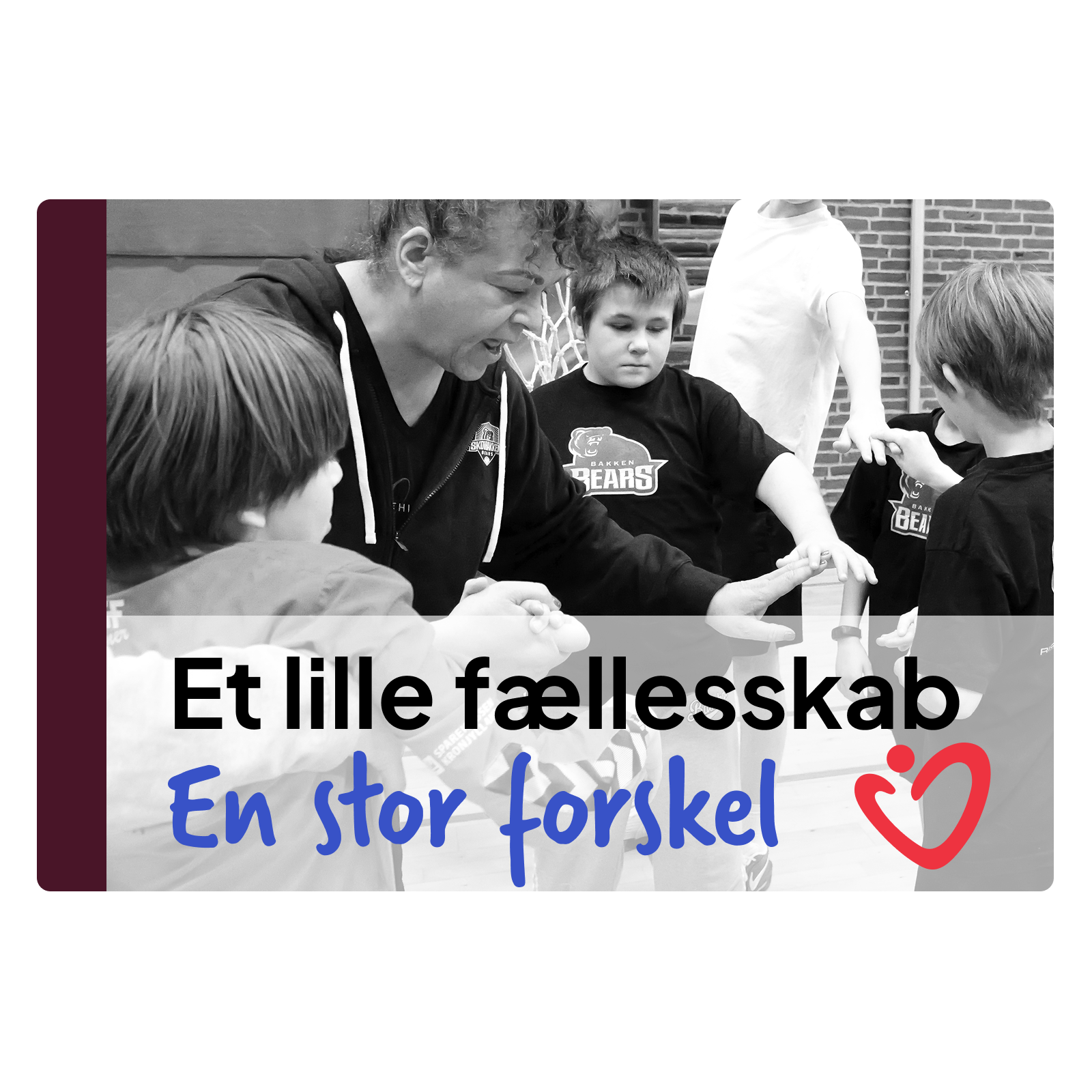 lille_faellesskab_stor_forskel